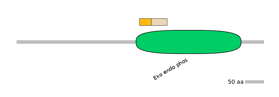 GgaINT0123720-EXC