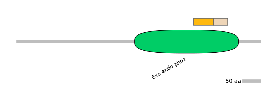 GgaINT0123724-EXC