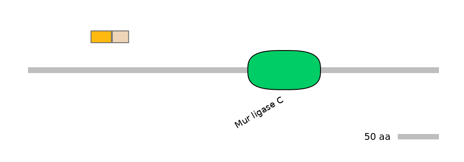 GgaINT0124150-EXC