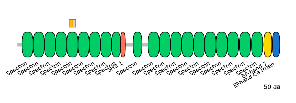 GgaINT0124354-EXC