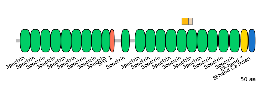 GgaINT0124383-EXC