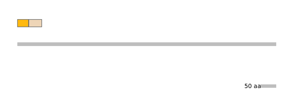 GgaINT0124402-EXC