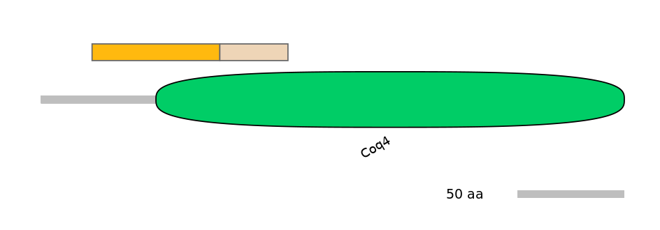 GgaINT0124425-EXC