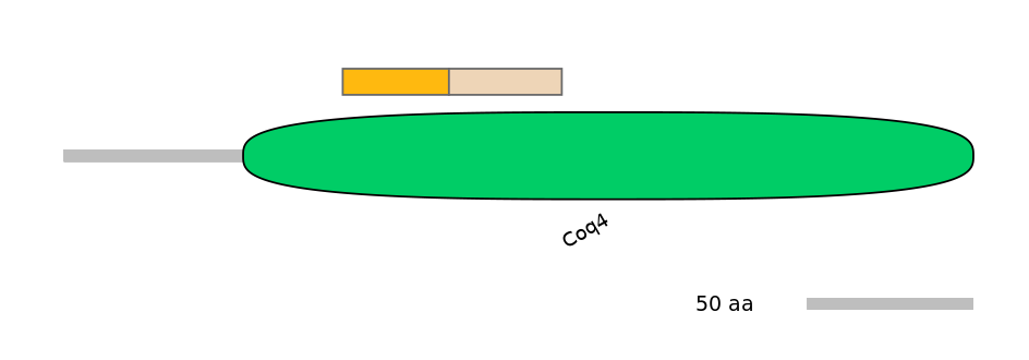 GgaINT0124426-EXC