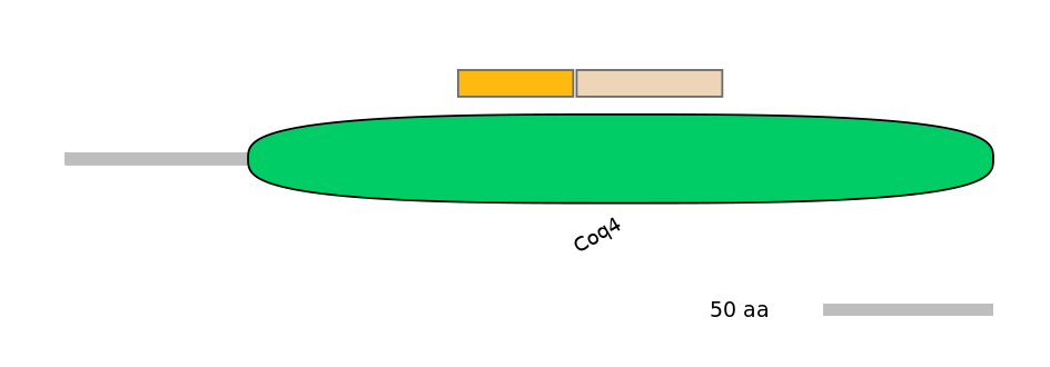 GgaINT0124427-EXC