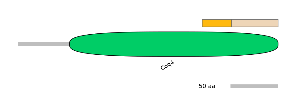 GgaINT0124429-EXC
