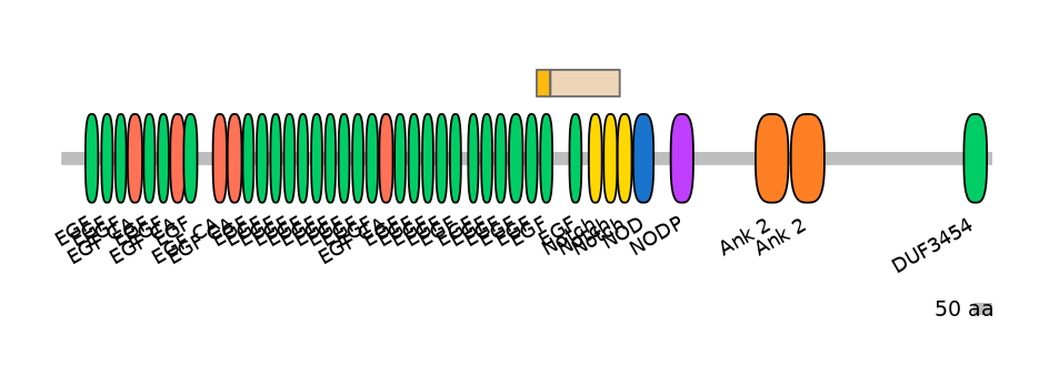 GgaINT0124452-EXC