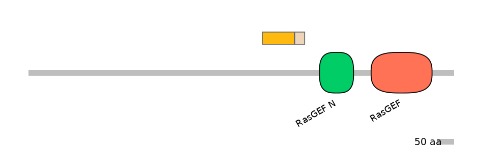 GgaINT0124541-EXC