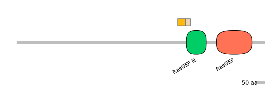 GgaINT0124544-EXC