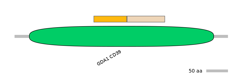 GgaINT0124639-EXC