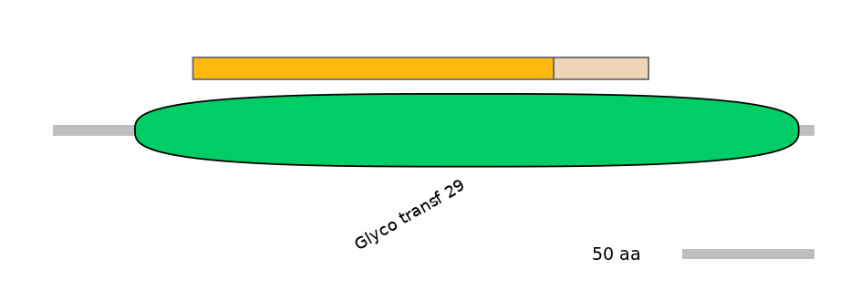 GgaINT0124771-EXC