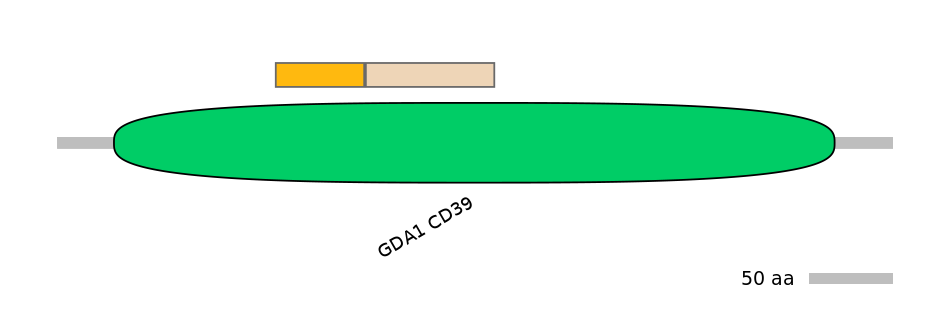 GgaINT0124854-EXC