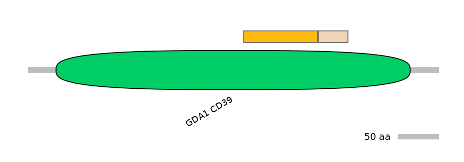 GgaINT0124856-EXC