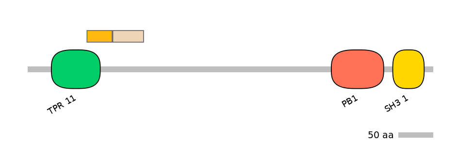 GgaINT0125103-EXC