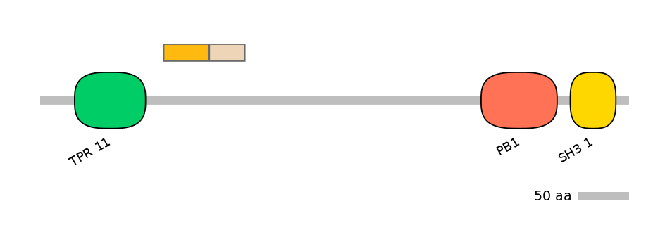 GgaINT0125104-EXC