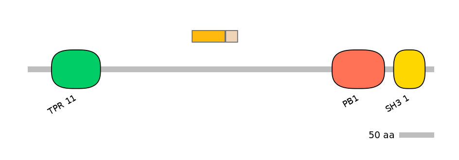 GgaINT0125108-EXC