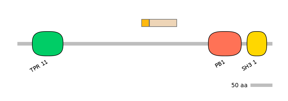 GgaINT0125109-EXC