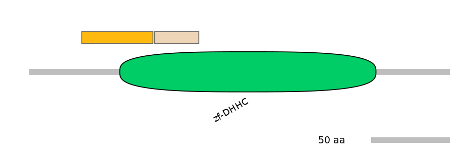 GgaINT0125134-EXC