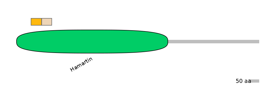 GgaINT0125139-EXC
