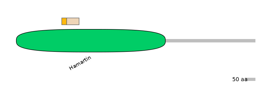 GgaINT0125142-EXC