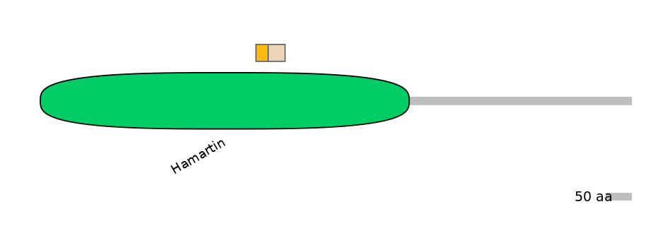 GgaINT0125147-EXC