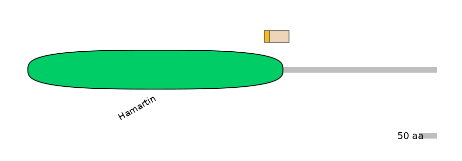GgaINT0125150-EXC