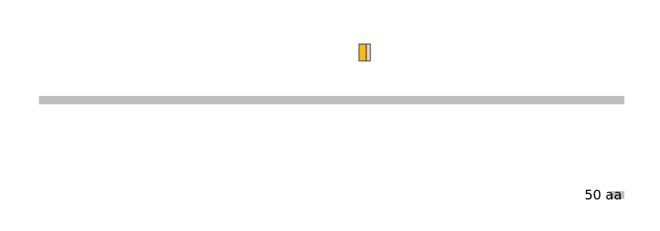 GgaINT0125192-EXC