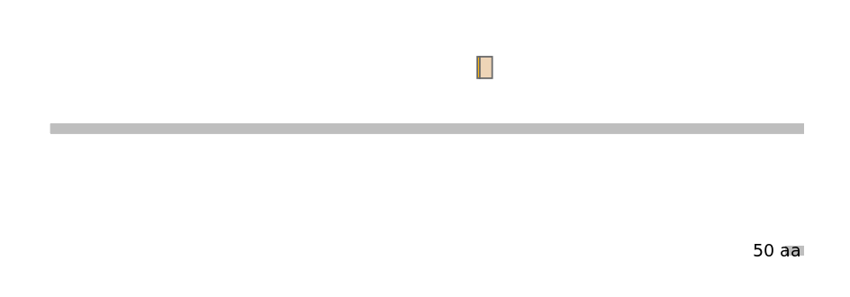 GgaINT0125198-EXC