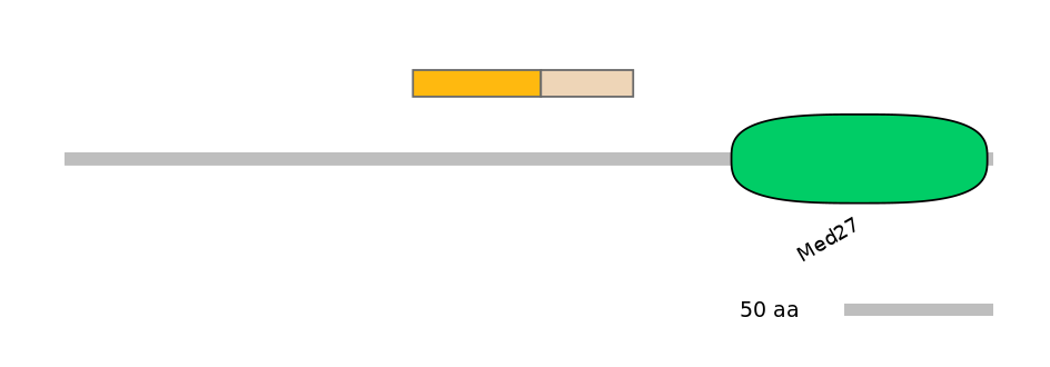 GgaINT0125249-EXC