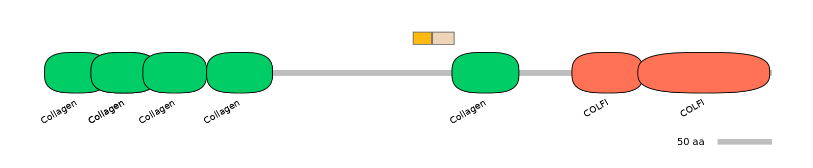 GgaINT0125601-EXC