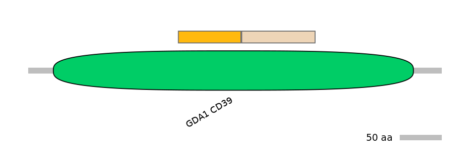 GgaINT0125661-EXC