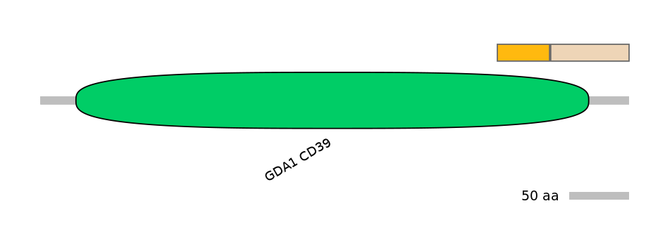 GgaINT0125664-EXC