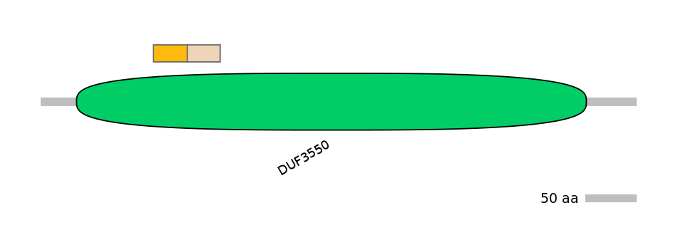 GgaINT0125703-EXC