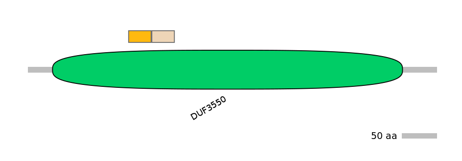 GgaINT0125704-EXC