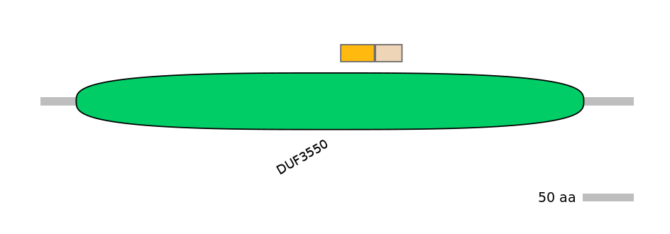 GgaINT0125708-EXC