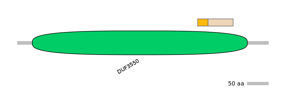 GgaINT0125712-EXC