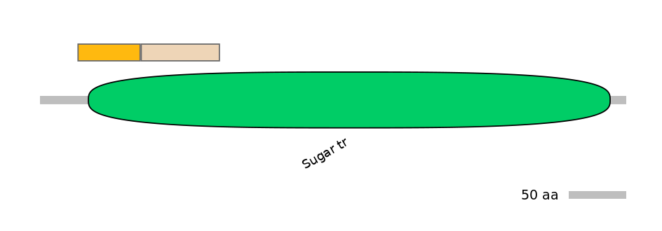 GgaINT0126009-EXC