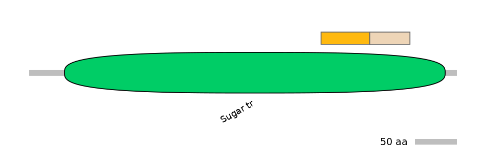 GgaINT0126015-EXC