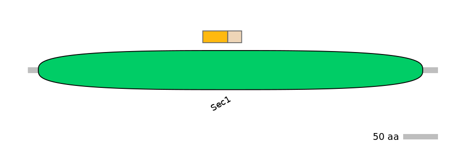 GgaINT0126178-EXC