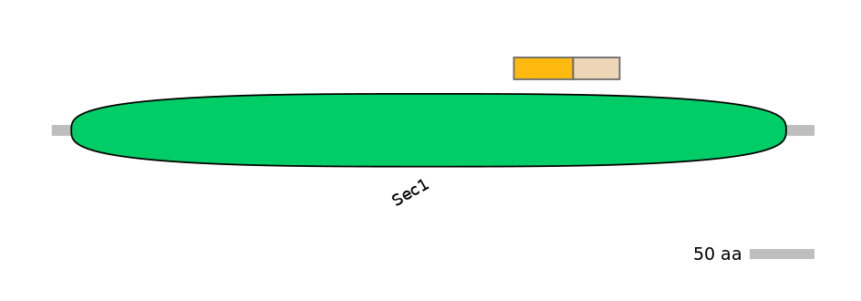 GgaINT0126182-EXC