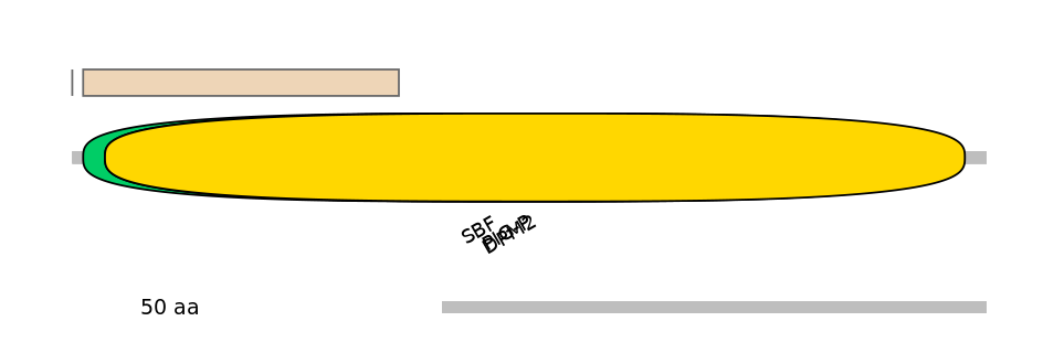 GgaINT0126397-EXC