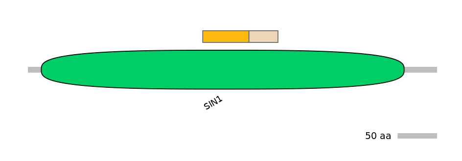 GgaINT0126524-EXC
