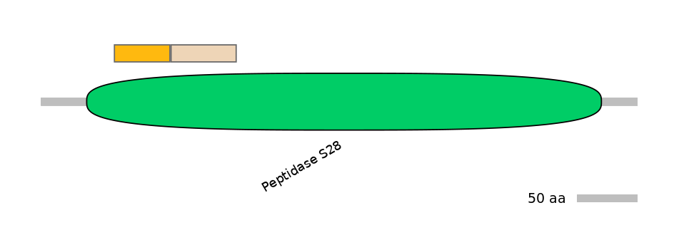 GgaINT0126626-EXC