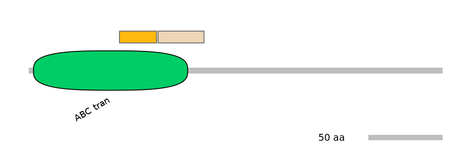 GgaINT0127081-EXC