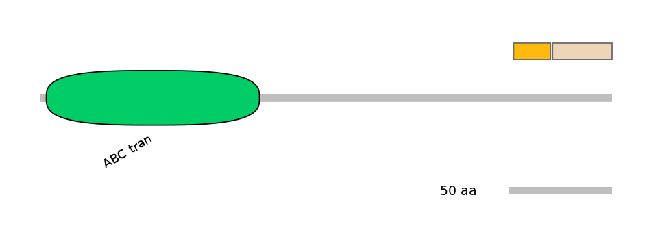 GgaINT0127086-EXC