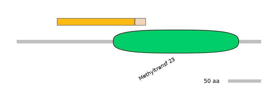 GgaINT0143064-EXC