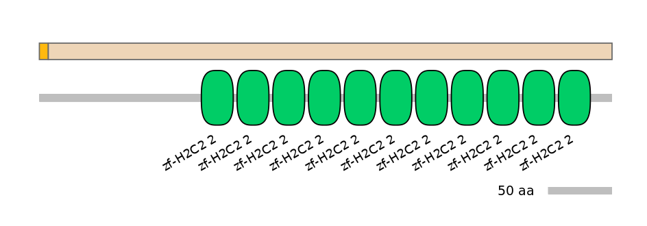 GgaINT1000107-EXC