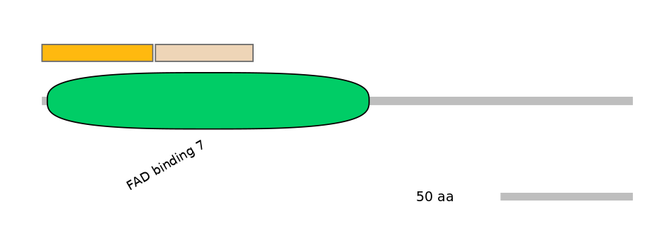 GgaINT1002116-EXC