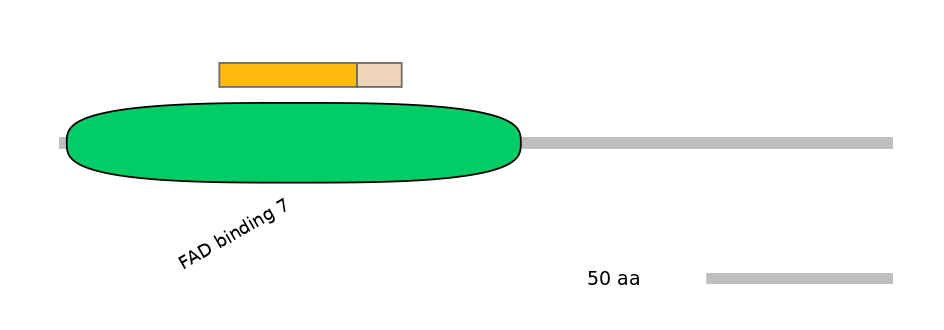 GgaINT1002117-EXC