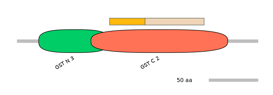 GgaINT1009601-EXC